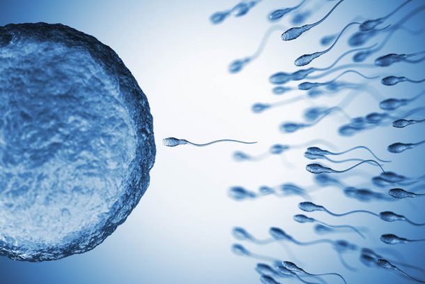 What can cause infertility?
