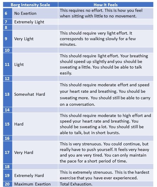 BORG Intensity Scale