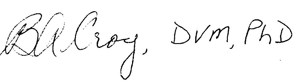 Croy Signature